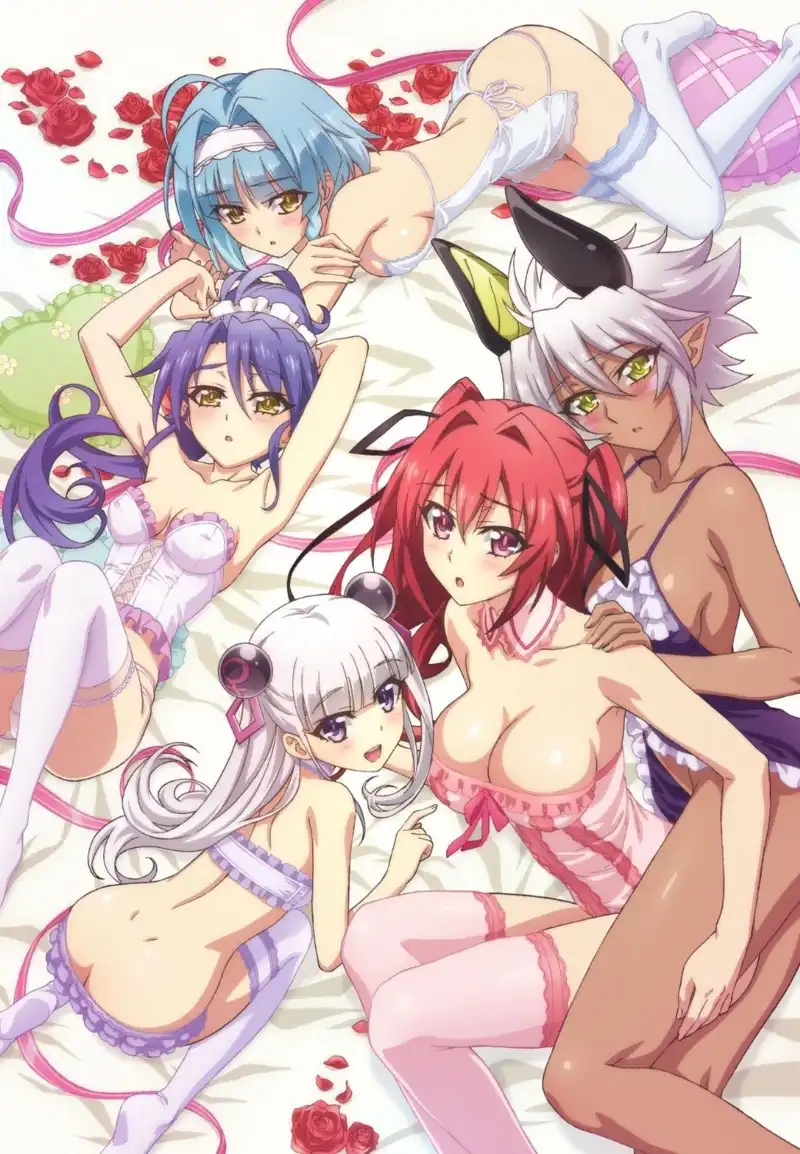 [VCB-Studio] Shinmai Maou no Testament BURST [10][Ma10p_1080p][x265_flac]